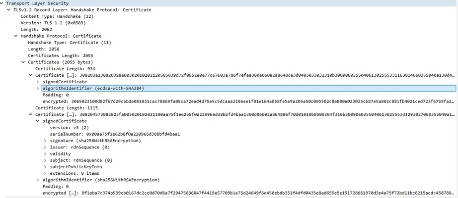 Wireshark showing an intermediate certificate in the chain signed with an **unsupported algorithm** (ecdsa-with-SHA384 on a P-384 curve). The IoT board’s TLS stack cannot handle the SHA-384 hash, so it fails to validate the chain.